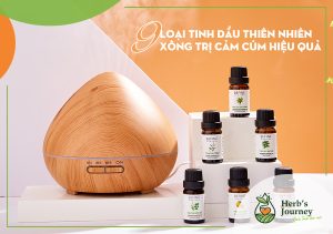 9 Tinh dầu trị cảm cúm hiệu quả nhất