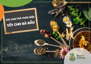 Các loại trà thảo mộc cho bà bầu
