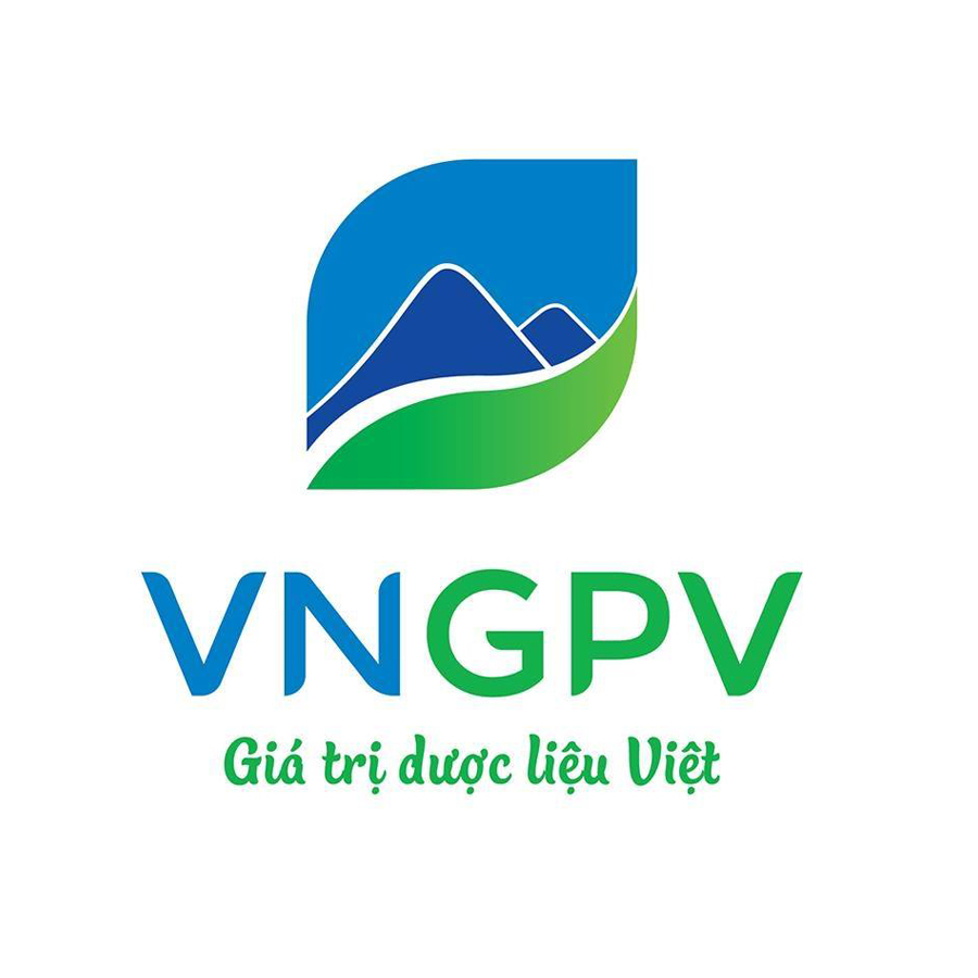 Trang chủ 169 GPV 1