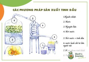 Các phương pháp sản xuất tinh dầu