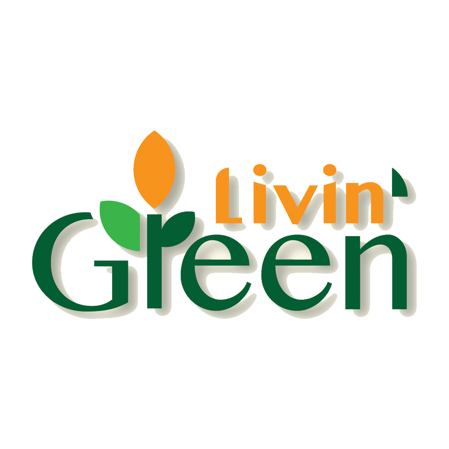 Trang chủ 171 livin