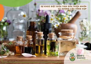Sự khác biệt giữa tinh dầu thiên nhiên và hương liệu tổng hợp
