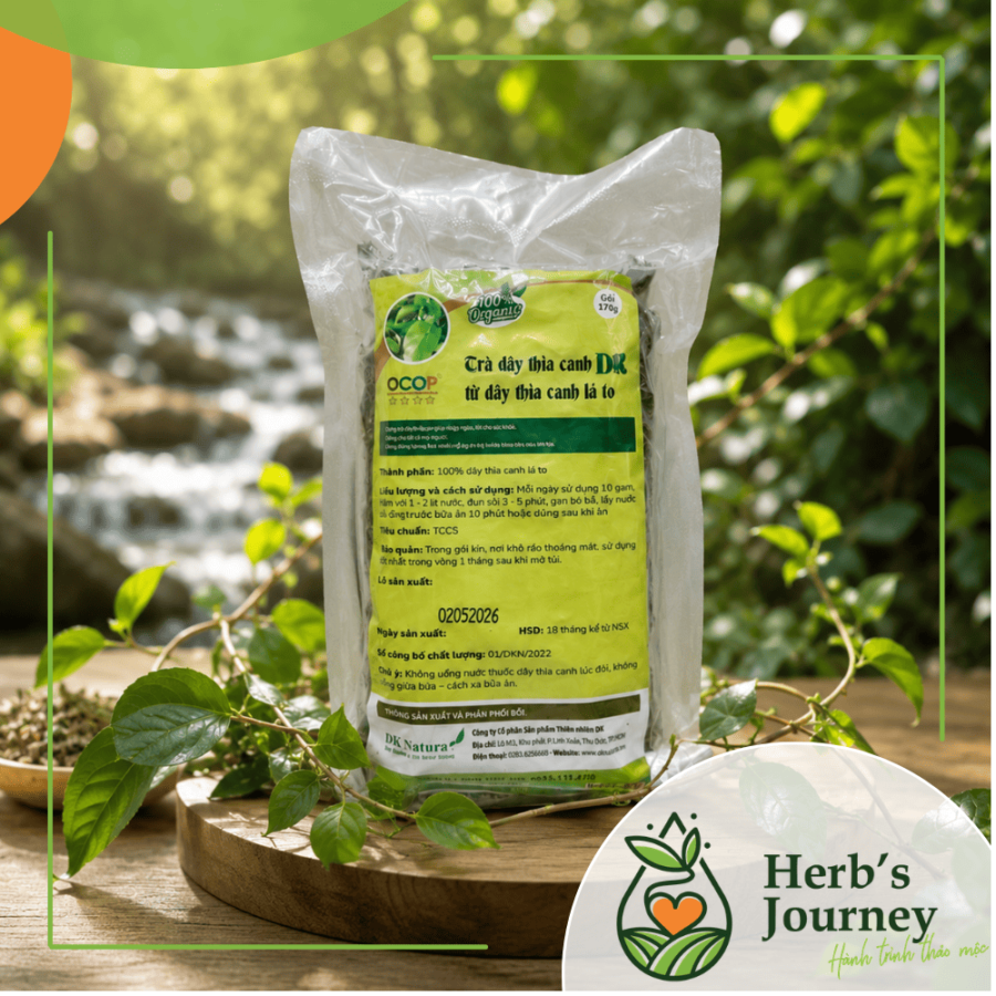 Trà dây thìa canh - Gói 100g hút chân không - Tiêu chuẩn GACP WHO - DK Natura 3 16