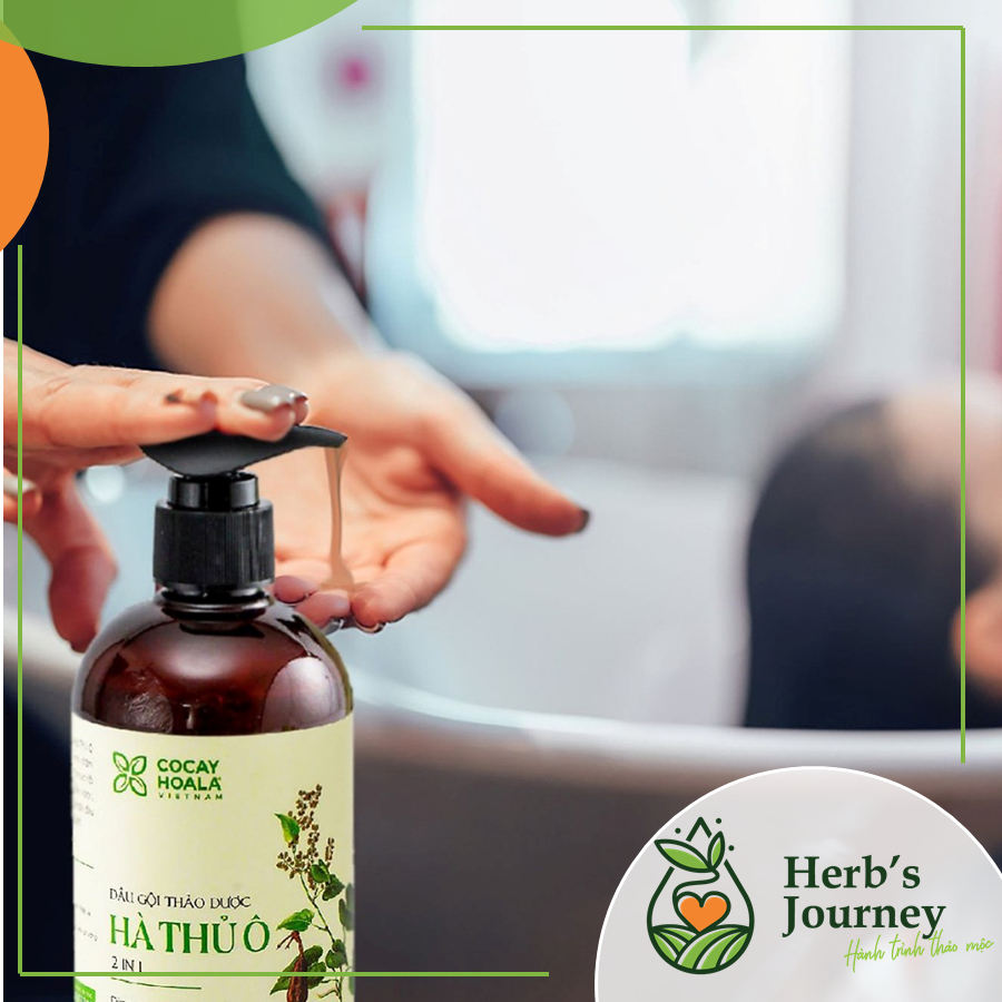 Dau-Goi-Xa-2in1-Ha-Thu-O-Co-Cay-Hoa-La-giam-rung-tocho-tro-moc-tocduong-toc-den-muot_2 Dau Goi Xa 2in1 Ha Thu O Co Cay Hoa La giam rung tocho tro moc tocduong toc den muot 2