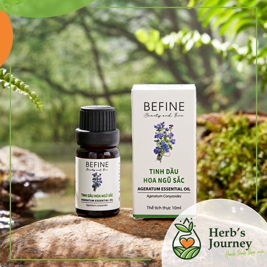 Tinh-dau-Hoa-Ngu-Sac-cao-cap-BEFINE-Tinh-dau-nguyen-chat-tu-nhien-Danh-cho-nguoi-viem-xoang_1 Tinh dau Hoa Ngu Sac cao cap BEFINE Tinh dau nguyen chat tu nhien Danh cho nguoi viem
