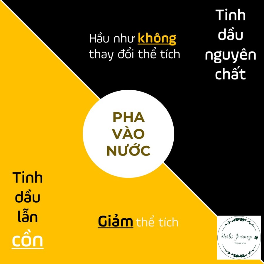 Tinh-dau-Ngoc-Am-treo-xe-Khu-mui-xe-thom-phong-Lo-10ml-kem-vo-treo-CTCP-BEFINE_4 Tinh dau Ngoc Am treo xe Khu mui xe thom phong Lo 10ml kem vo treo CTCP BEFINE 4