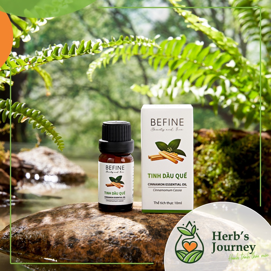 Tinh-dau-Que-nguyen-chat-BEFINE-Chung-cat-tu-nhien-Thom-phong-giu-am_1 Tinh dau Que nguyen chat BEFINE Chung cat tu nhien Thom phong giu am 1