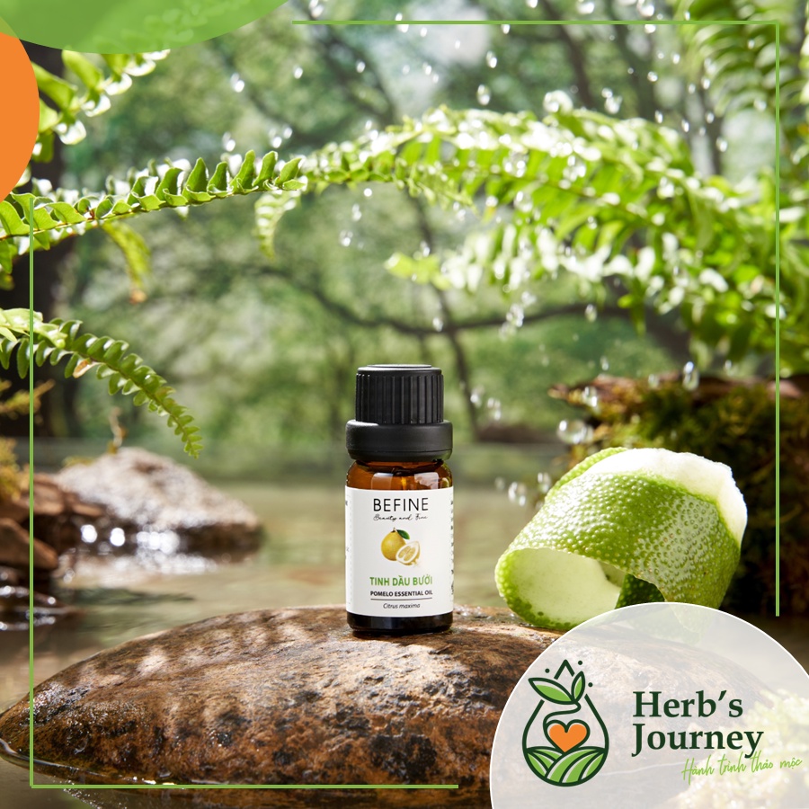 Tinh-dau-Vo-Buoi-cao-cap-Kich-thich-moc-toc-duong-toc-thom-phong-Nguyen-cat-tu-nhien-Befine_1 Tinh dau Vo Buoi cao cap Kich thich moc toc duong toc thom phong Nguyen cat tu nhien Befine 1