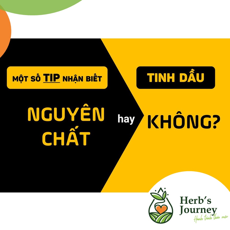 Tinh-dau-Vo-Buoi-cao-cap-Kich-thich-moc-toc-duong-toc-thom-phong-Nguyen-cat-tu-nhien-Befine_3 Tinh dau Vo Buoi cao cap Kich thich moc toc duong toc thom phong Nguyen cat tu nhien Befine 3