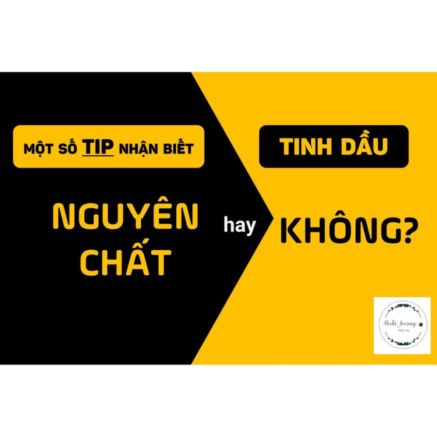 Tinh dau Vo Que treo xe o to Khu mui xe thom phong Nguyen chat cat tu nhien TNHH BEFINE 3