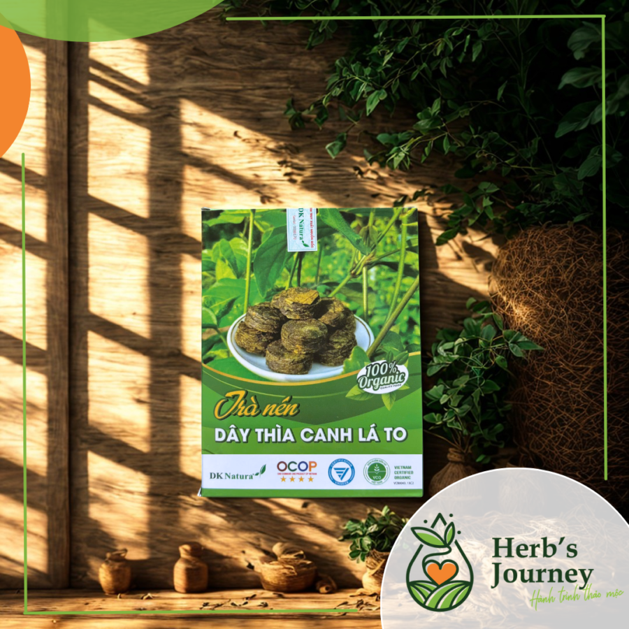 Tra nen Day Thia canh la to hop 45 vien DK Natura 2