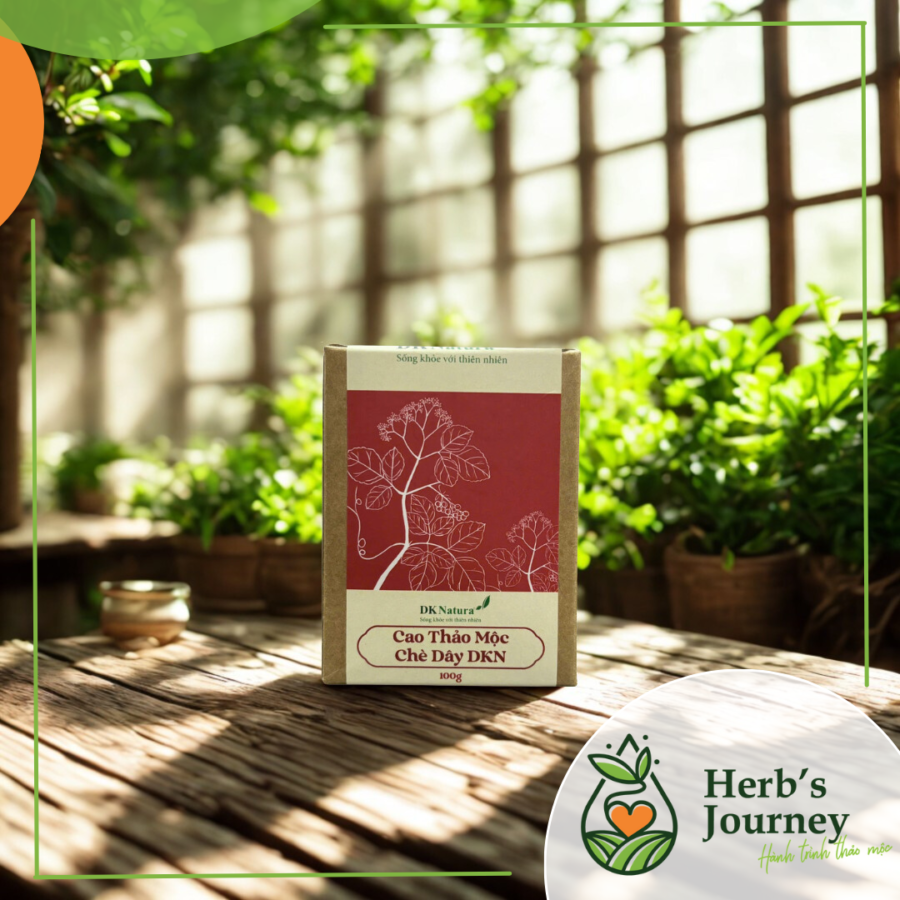 Cao Chè Dây Thảo Mộc DKN - Hũ 100g - DK Natura 1 3